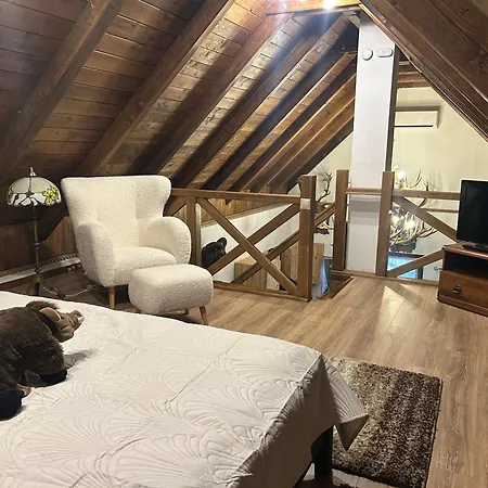 Zselici Vadvirag Vendeghaz