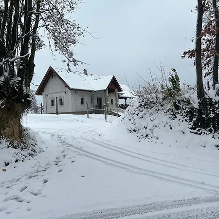 Zselici Vadvirag Vendeghaz *