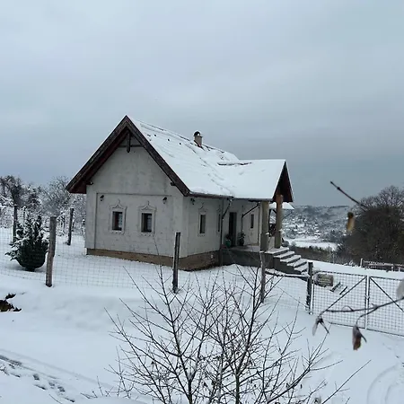 Zselici Vadvirag Vendeghaz Szilvasszentmarton