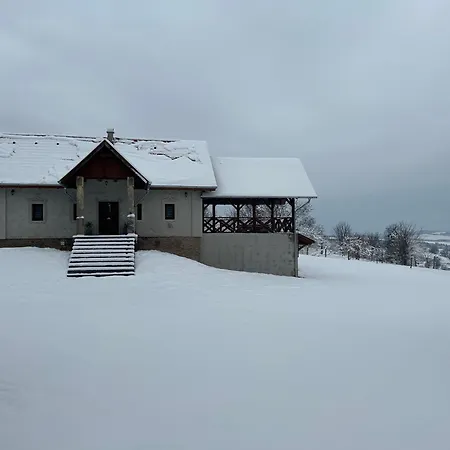 Zselici Vadvirag Vendeghaz Daire